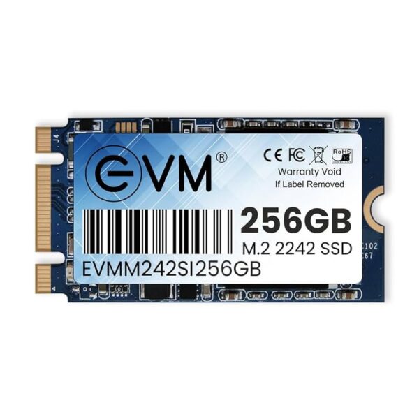 256GB EVM M.2 2242 SSD for laptop and desktop with compact design