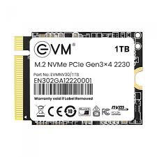 1TB M.2 NVMe PCIe (2230) SSD for Laptop/Desktop (EVM Brand)