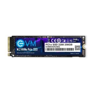 256GB EVM NVMe PCIe SSD for laptop and desktop with high-speed performance and fast boot times