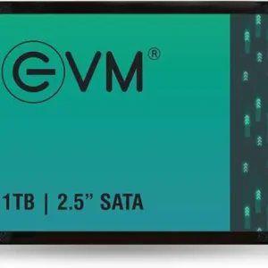1TB 2.5-inch SSD for Laptop/Desktop (EVM Brand)
