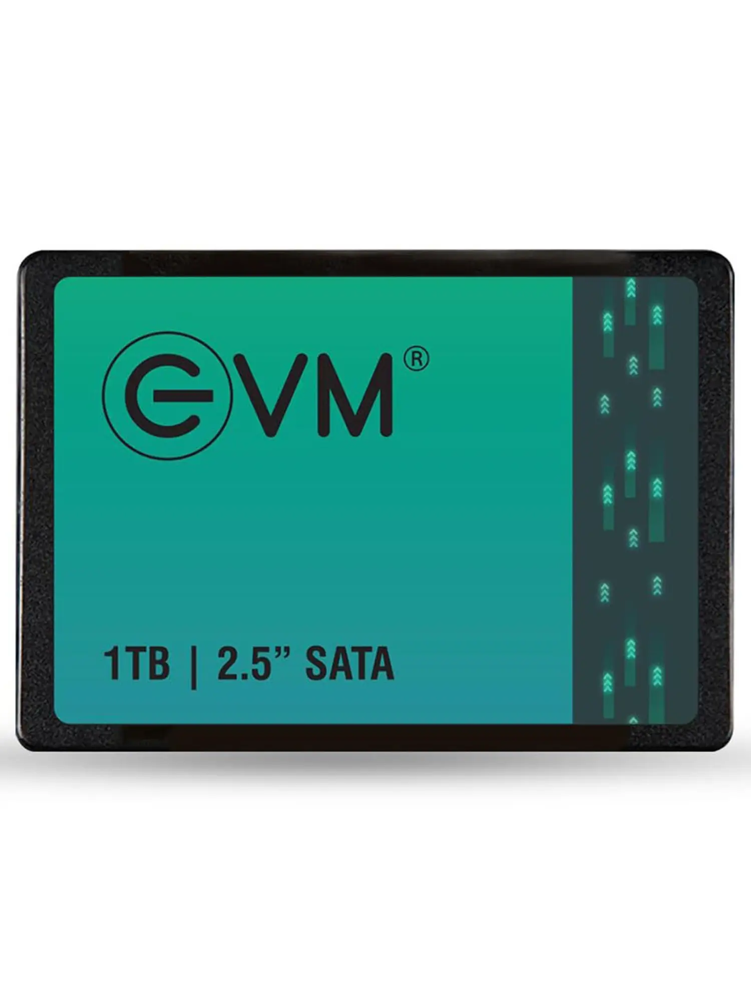 EVM 1TB SSD Price in India 2.5-Inch SATA | 3 Years Warranty